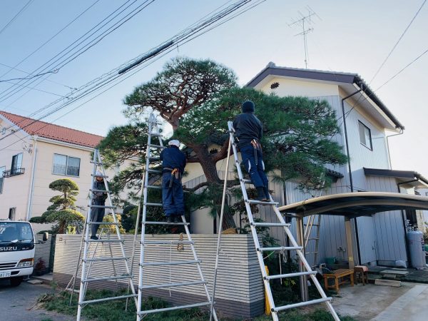 2019年 今年も宜しくお願い致します